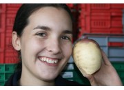 SWEDE MEDIUM Size Ohakune Grown